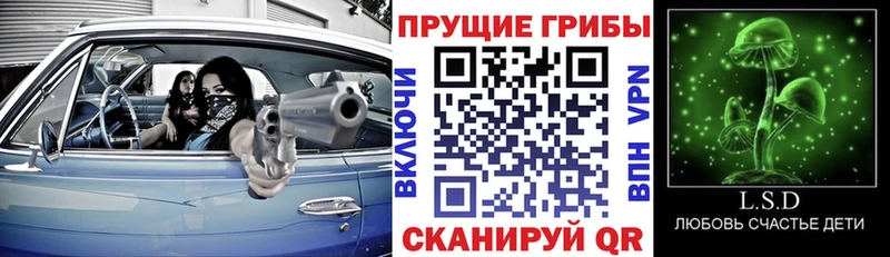 мега ТОР  цена   Новотроицк  Псилоцибиновые грибы ЛСД 