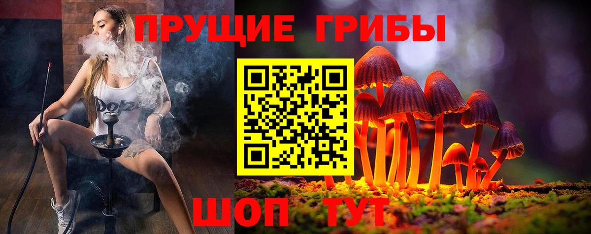 Новотроицк  Псилоцибиновые грибы мицелий  Вход с VPN 