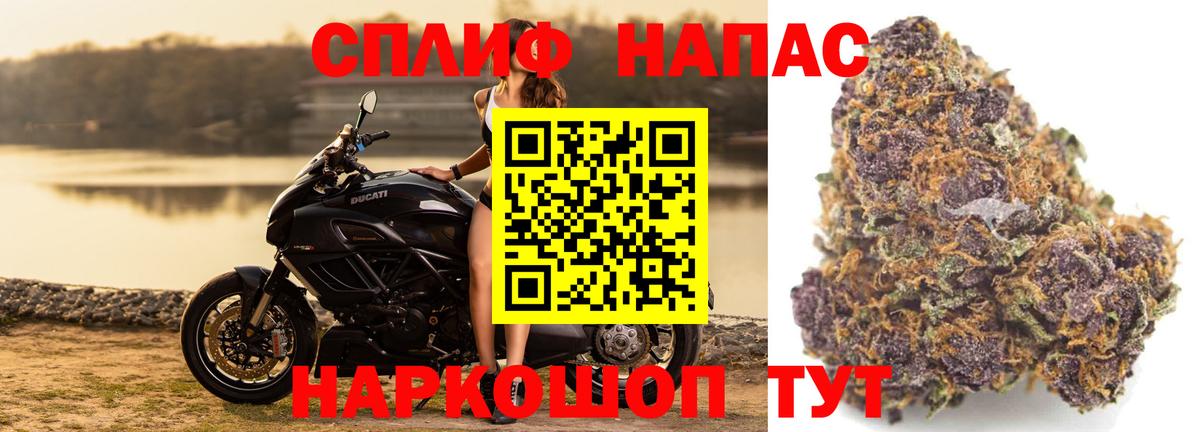 Бошки марихуана семена Новотроицк